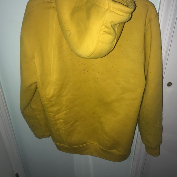 Yellow jacket - Picture 3 of 3